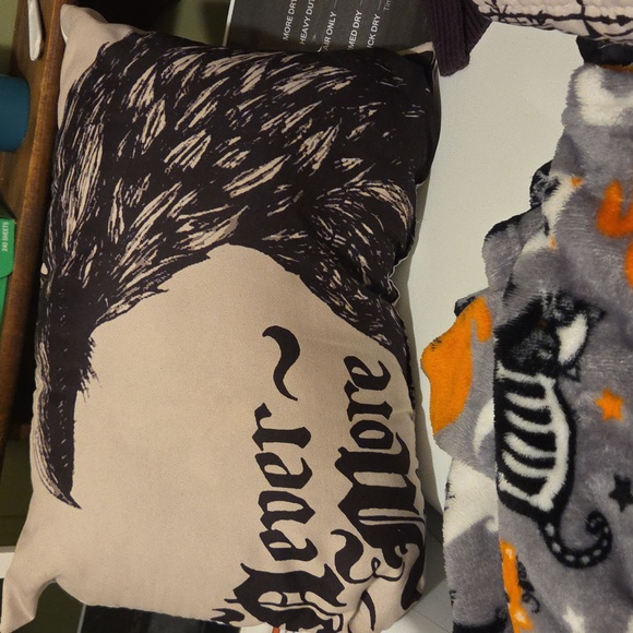 Small Raven Pillow And Two Halloween Blankets - Picture 2 of 5